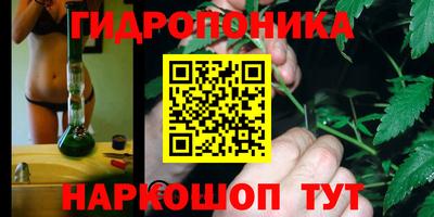 винт Пенза