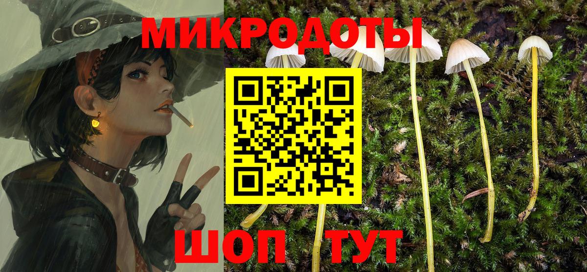 Советск  Псилоцибиновые грибы мухоморы  Галлюциногенные грибы мухоморы  Вход с VPN 