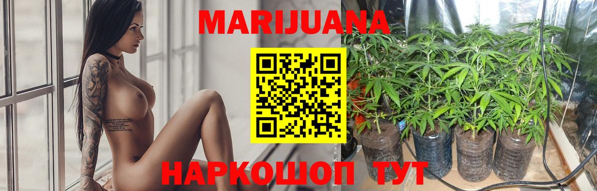 Конопля планчик  Каннабис Ganja  Советск  Вход с VPN  Каннабис марихуана 